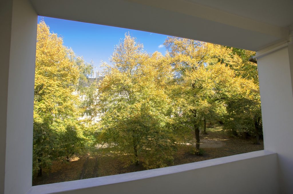 Blick vom Balkon auf gelblich gefärbte Herbstbäume