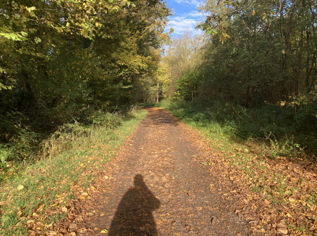 Ein Waldweg mit Schatten von mir beim Fotografieren